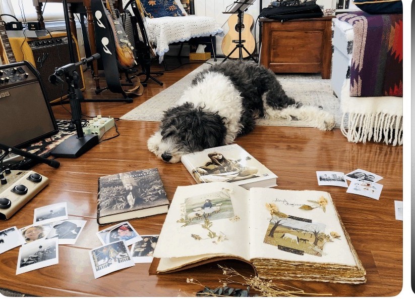 My sheepdog resting among guitars, songbooks and an open scrapbook on the studio floor